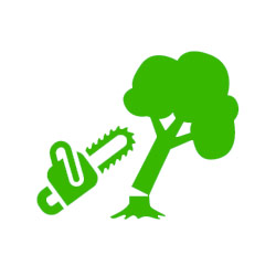 Tree Removal icon